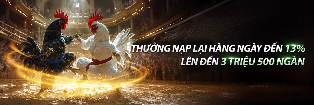 Banner khuyến mãi đá gà độc quyền tại xoso66 casino
